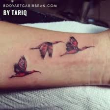 National Bird of Trinidad & Tobago Tattoo Ibis Tattoo, Scarlet Ibis, Trinidad Tobago, Tattoos And Piercings, Maple Leaf Tattoo, Trinidad, Trinidad And Tobago, Scarlet, Tatting