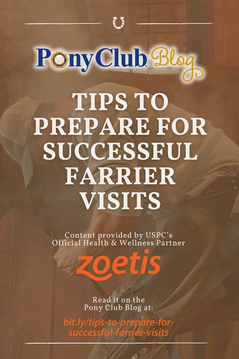 When it comes to your horse’s hoof care, farriers are your foot health and functionality experts. In this post brought to you by Zoetis, learn more about how to have the best visit with your farrier, including farrier safety, how to handle your horse during the visit and how to help him have a positive visit, and how to improve communication with your farrier. Find the tips here: bit.ly/tips-to-prepare-for-successful-farrier-visits #uspc #usponyclubs #farriers #shoeing Loss Of Balance, Hoof Care, Improve Communication, Foot Health, The Visit, Horse Care, Blog Tips, Health And Wellness, Communication