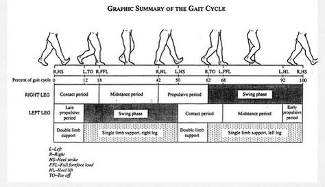 Gait cycle Pt School, Orthotics And Prosthetics, Gait Cycle, Leg Support, The Body, Cycling, Quick Saves