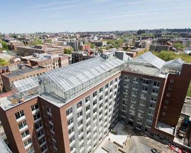 The Engineering Behind Rooftop Greenhouses Rooftop Greenhouse, Greenhouse Architecture, Roof Cap, Vertical Farming, Urban Agriculture, Greenhouse Growing, Colorado Homes, New Farm, Roof Top