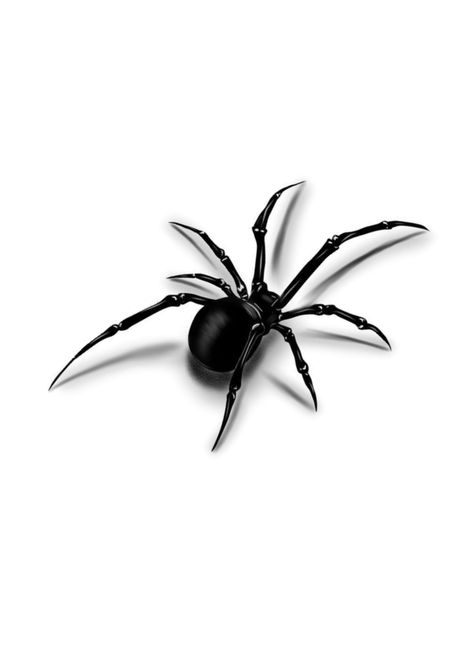 Spider Armpit Tattoo, Spider Tattoo Drawing, Realistic Spider Tattoo, Black Spider Tattoo, Spider Tattoo Men, Spider Tattoo For Women, Spider Reference, Spider Tattoo Design, Png Tattoo