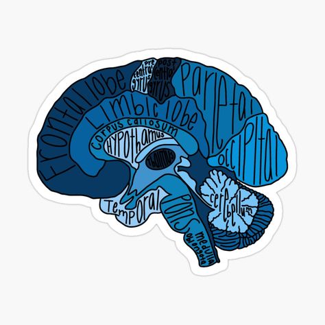 Neurology Stickers, Leg Muscles Anatomy, Goodnotes Ideas, Physical Therapy Humor, Brain Design, Nursing Study Tips, Therapy Humor, Medical Stickers, Body Massage Techniques