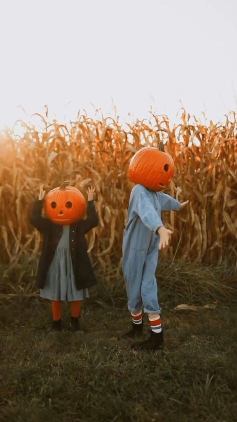 Cityside Pumpkin Patch (@citysidepumpkinpatch) • Instagram photos and videos Pumpkin Patch Sibling Pictures, Sibling Pictures, Halloween Ideas, Fall Pumpkins, Pumpkin Patch, Halloween Decorations, Instagram Photos, Photo And Video, Instagram Photo