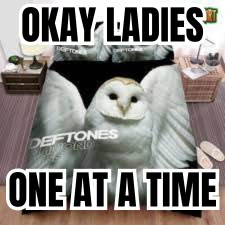 Deftones Album Covers, Deftones Funny, Deftones Funny Photos, Deftones Pfp, Deftones Aesthetic, Deftones Wallpapers Around The Fur, Listen To Deftones With Me, Deftones Songs, Deftones Whisper