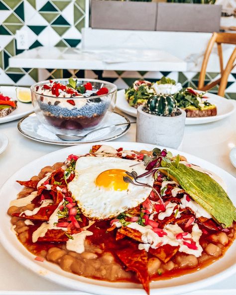 Best brunch places in San Diego - Talia's Bucketlist Fun Bars, Restaurants In San Diego, Soy Chorizo, San Diego Restaurants, Vegan Ramen, Brunch Places, Roasted Brussel, Healthy Bowls, Best Coffee Shop