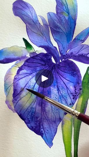 Bold Watercolor Painting, Jeannie Dickson Watercolor, Iris Watercolor Painting, Watercolor Irises, Loose Drawing, Iris Watercolor, Watercolor Iris, Loose Watercolor Paintings, Loose Watercolor Flowers