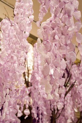 Anthropologie paper wisteria tree created by Ruthi Auda, courtesy of: InBloom Studio Diy Wisteria, Paper Wisteria, Paper Flower Crown, Wisteria Tree, Anthropologie Inspired, Paper Flower Crafts, Crepe Paper Flowers, Tissue Paper Flowers, Poo Pourri