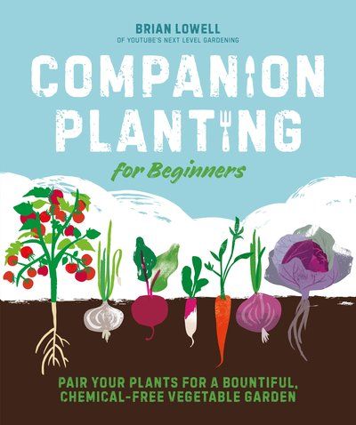 Planting For Beginners, Vegetable Garden Companion Planting, Planting Mint, Strawberry Companion Plants, Slug Repellant, Companion Planting Chart, Companion Gardening, Garden Companion Planting, Natural Insecticide