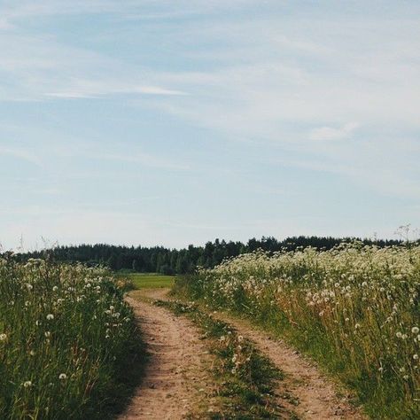 Countryside Aesthetic, Cottagecore Summer, Aesthetic Cottagecore, Landscape Designs, Trondheim, Sunset Landscape, Spring Aesthetic, Northern Italy, Nature Aesthetic