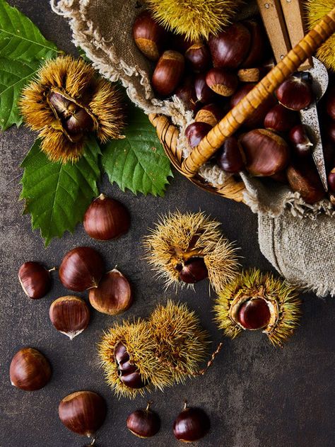 Roasted Chestnuts Recipes Holidays, Chestnut Puree Recipe, Cooking Chestnuts, Autumn Pasta, Chestnut Puree, Chestnut Stuffing, Chestnut Recipes, Easy Pot Roast, Choux Buns