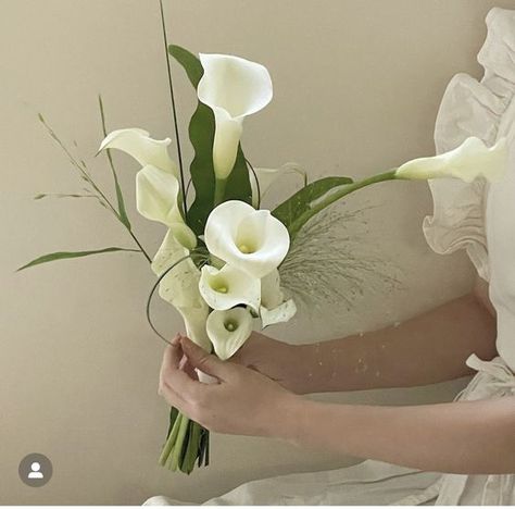 Lilly Bouquet Wedding, Calla Lillies Wedding, Calla Lillies Bouquet, White Calla Lily Bouquet, Lily Bridal Bouquet, Elegant Wedding Bouquets, Simple Wedding Bouquets, Calla Lily Bridal, Calla Lily Wedding