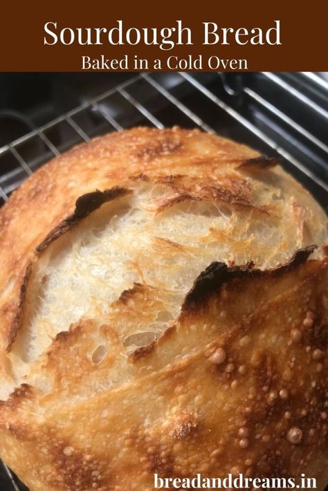 Sourdough bread in a cold oven - Bread Therapy Sourdough Bread Machine, Homemade Sourdough Bread Recipes, Easy Sourdough Bread Recipe, Homemade Sourdough Bread, Sourdough Baking, Sourdough Bread Recipe, Bread Machine Recipes, Starters Recipes, Sourdough Recipes