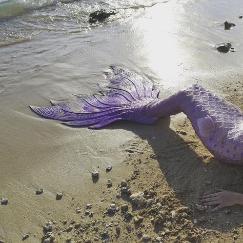 Pinterest: @ LOLAxxLOLA - mermaid tail #mermaid Noel Aesthetic, Mermaid Tail Aesthetic, Book Plots, Tail Aesthetic, No Ordinary Girl, Mermaid Photography, Mermaid Melody Pichi Pichi Pitch, Silicone Mermaid Tails, Siren Mermaid