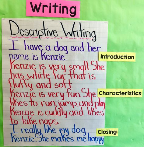 Descriptive Writing Examples, Descriptive Writing Anchor Chart, Descriptive Paragraph, Descriptive Writing Activities, Esl Writing, English Creative Writing, Second Grade Writing, Third Grade Writing, Reading Comprehension Lessons