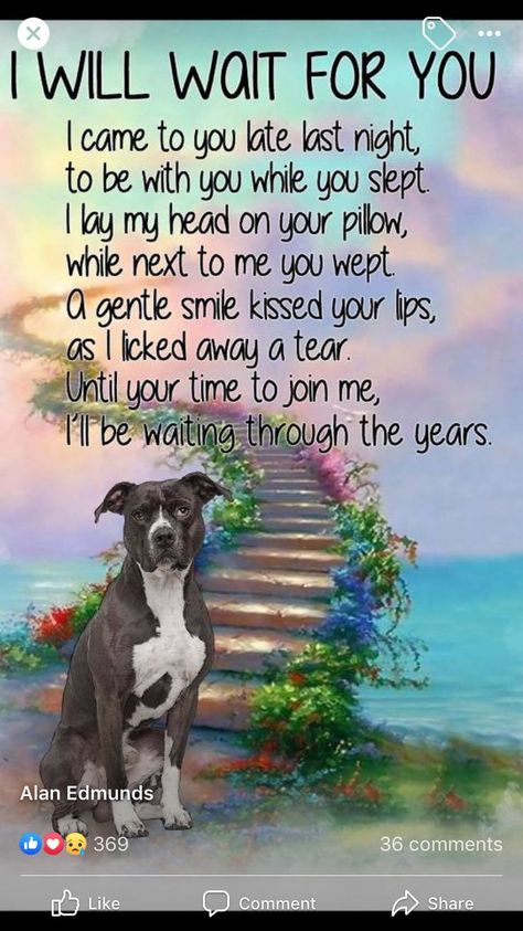 Pin by Anne Marie Lowndes on Dogs!! | Dog quotes love, Dog heaven quotes, Dog quotes Dog Memorial Tattoos Small Ankle, Love Dog Quotes, Dogs In Heaven, Dog Heaven Quotes, Pet Poems, Miss My Dog, Pet Quotes, Dog Poems, I Will Wait