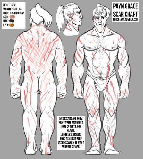 skin scar reference - Google Search Drawing Scars Reference, Leather Chest Armor, Scar Reference, How To Draw Scars, Conscious Art, Chest Armor, Male Art Reference, Back Drawing, Guild Wars 2