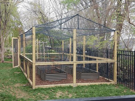 Garden Enclosures Ideas, Greenhouse On A Hill, Diy Garden Enclosure, Enclosed Garden Ideas, Enclosed Garden Beds, Animal Proof Garden, Enclosed Raised Garden Bed Plans, Enclosed Garden Structures, Garden Enclosure Ideas