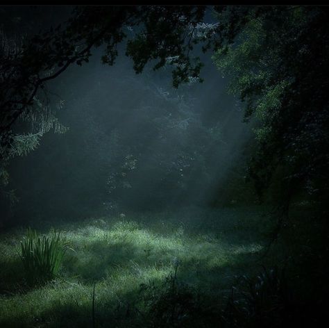 Dark Forest Core Aesthetic, Dark Green Twilight Aesthetic, Night In The Forest Aesthetic, Dark Forest Aesthetics, Twilight Woods Aesthetic, Misty Green Aesthetic, Dark Misty Forest Aesthetic, Jodiecore Aesthetic, Dark Natural Aesthetic