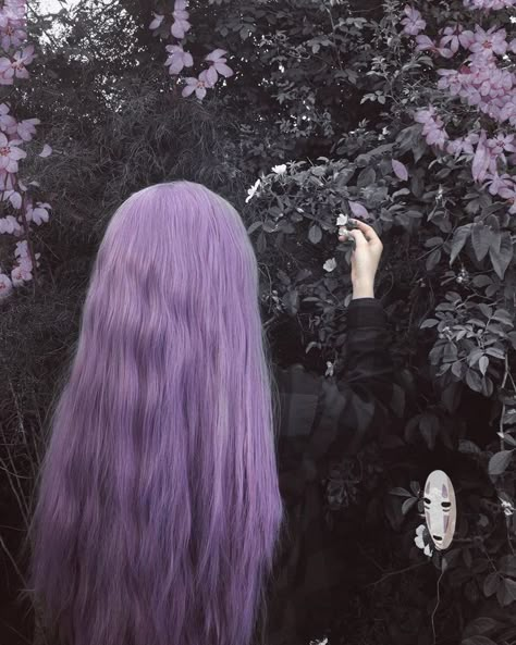 Short Lilac Hair, Pastel Purple Hair, Dyed Hair Ombre, Short Dyed Hair, Dyed Hair Pastel, Dyed Hair Blue, Dyed Hair Purple, Pink Hair Dye, Scene Girl