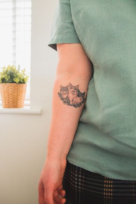 Three Cat Tattoo on Forearm Three Cat Tattoo Design, Three Cat Tattoo, Cat Forearm Tattoo, Three Cats Tattoo, 3 Cat Tattoo, My 18th Birthday, Cat Tattoo Simple, Tattoo On Forearm, Circle Tattoos