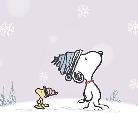 Brown Christmas, Charlie Brown Christmas, Snoopy And Woodstock, Woodstock, Charlie Brown, Christmas Card, Snoopy, Christmas