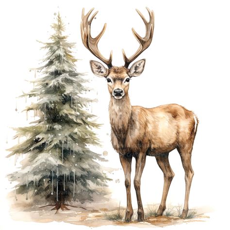 Christmas Hat Clipart, Santa Hat Clipart, Deer Clipart, Deer Nursery, Winter Clipart, Watercolor Drawing, Christmas Deer, Art Clipart, Christmas Clipart