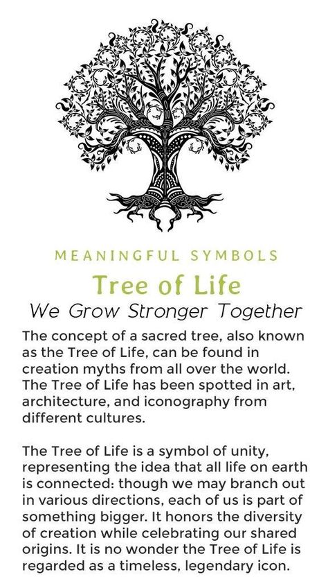 Tree Of Life Scripture, Tree Meanings Tattoo, Meaning Of Tree Of Life, Tree Of Life Meaning Spiritual, Shamanism Spirituality, Tree Meditation, Tree Of Life Drawing, Tree Of Life Quotes, Trees For Life