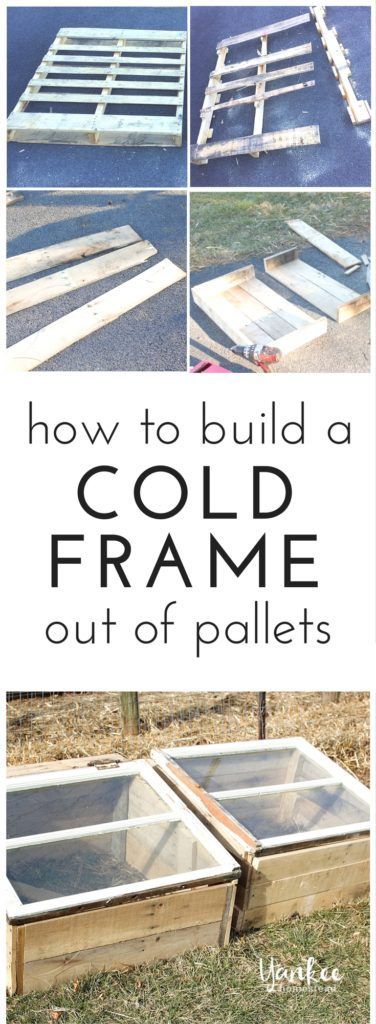 15 DIY Pallet Greenhouse Plans & Ideas That Are Sure to Inspire You Pallet Greenhouse, Beautiful Greenhouse, Cold Frames, Winter Vegetables Gardening, Home Greenhouse, Wooden Greenhouses, Small Greenhouse, Greenhouse Plans, Winter Vegetables