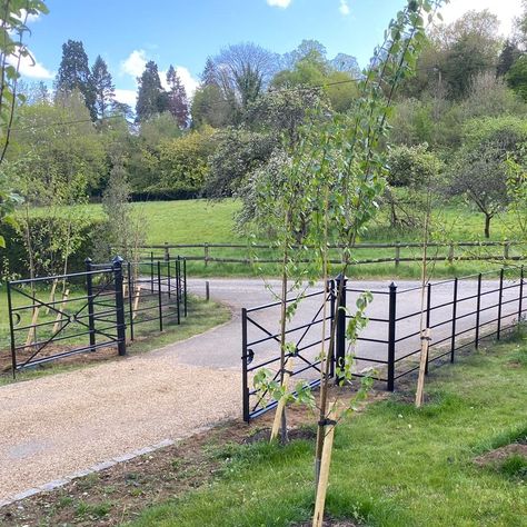 Estate Fence Ideas, Country House Fence, Country House Driveway Entrance, Property Fencing, Estate Fencing Gate, Estate Fencing, Front Driveway Ideas, Property Gates, Entrance Gates Driveway