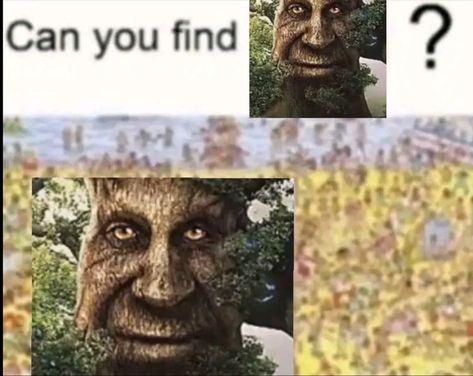 The Wise Tree, Wise Mystical Tree, Wise Tree, Tree Tree, Pinterest Memes, Meme Stickers, I Have No Friends, Oak Tree, Funny Laugh