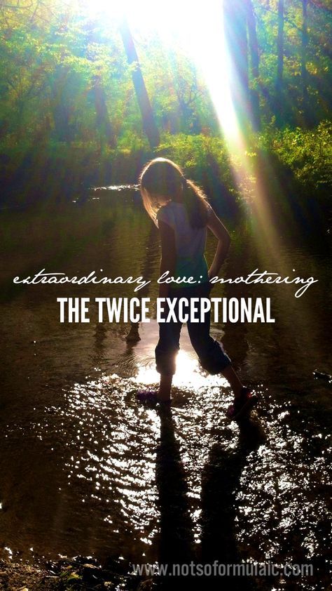 Extraordinary Love: What I've Learned as a the Mother of a Twice Exceptional Child Twice Exceptional, Homeschool Teacher, Homeschool Inspiration, Homeschool Encouragement, Sensory Issues, Taste The Rainbow, Gifted Education, Childrens Health, What Do You Mean