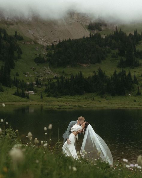 All Posts • Instagram Wedding Dress Long Veil, Wedding Photography Outdoor, Everyone Is Welcome Here, Elopement Wedding Photography, Outdoor Elopement, Wedding Photography Styles, Future Wedding Plans, Dream Wedding Ideas Dresses, Wedding Mood Board