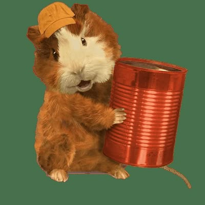 Phone Png, Holding Phone, Wonder Pets, Childhood Memories 2000, Cute Couple Dp, Funny Expressions, Canvas Learning, Cute Pfp, Kids Wallpaper