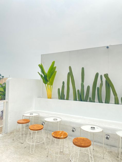 Cactus Cafe, Aesthetic Cactus, 2023 Ideas, Cafe Aesthetic, The Reader, Tangerang, Cafe Design, Jakarta, Terrace