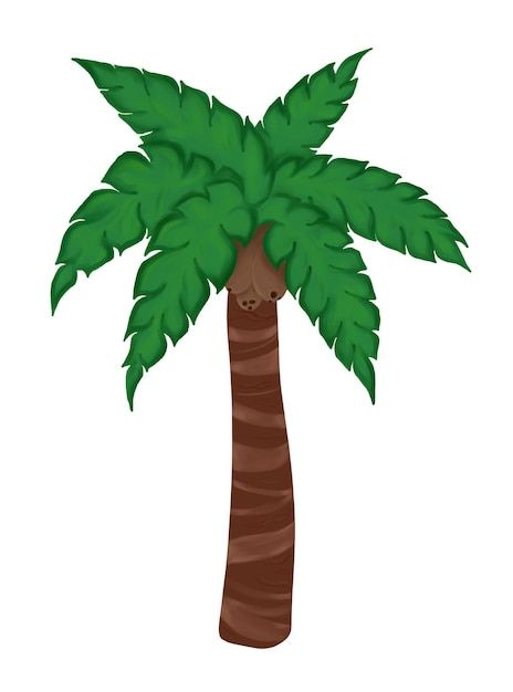 Green palm | Premium Vector #Freepik #vector #coconut-tree #coconut-palm #palm #coconut-leaves Coconut Tree Leaves, Festa Moana Baby, Baby Shower Decorations Neutral, Coconut Leaves, Coconut Palm, Coconut Tree, Tree Toppers, Moana, Shower Decorations