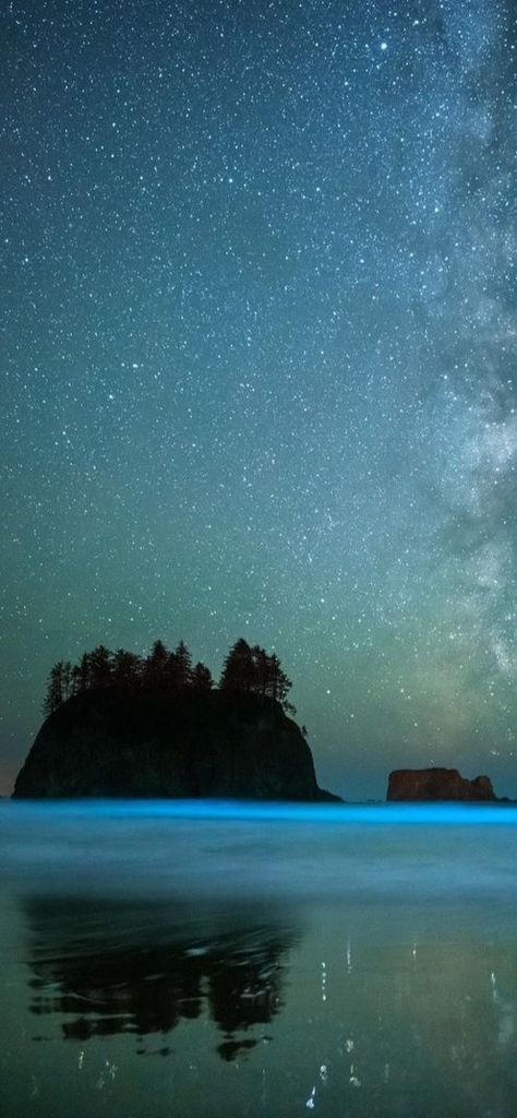 Second Beach, Washington, USA Bioluminescence Beach, Ruby Beach Washington, Washington Beaches, Washington Usa, Summer 24, Washington, Places To Visit, Ruby, Water