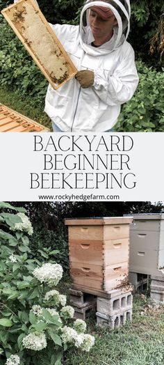 In this series, backyard beekeeping for beginners, I hope to share some important things to think about before beginning the journey of keeping bees. Quotes Gardening, Beginners Gardening, Keeping Bees, Apartment Gardening, Aesthetic Gardening, Beginners Landscaping, Backyard Bee, Gardening Aesthetic, Beekeeping For Beginners