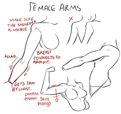 Female Arms, Arm Anatomy, Arm Drawing, Female Anatomy Reference, Anatomy Tutorial, Body Drawing Tutorial, Anatomy Sketches, Body Reference Drawing, Female Anatomy