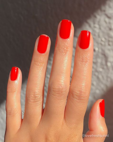 Essie Clambake, Essie Geranium, Forever In Love, Clam Bake, Nails Nailpolish, Nail Idea, Crystal Nails, Elegant Nails, Fiery Red