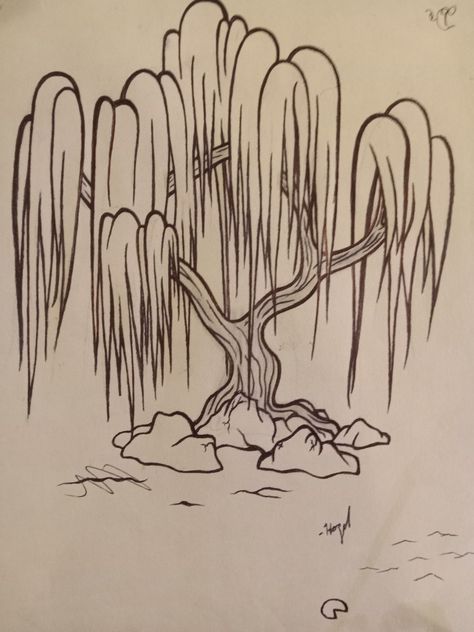 Draw Weeping Willow Tree, Weeping Willows Drawing, Weeping Tree Drawing, World Tree Drawing, Tree With Vines Drawing, Drawing Of Willow Tree, Easy Weeping Willow Drawing, Simple Willow Tree Drawing, Willow Tree Clip Art