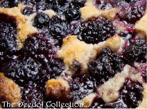 Easy Blackberry Cobbler, Berry Cobbler Recipes, Blackberry Cobbler Recipe, Blackberry Recipes, 8x8 Pan, Berry Cobbler, Blackberry Cobbler, Fruit Cobbler, Blueberry Cobbler