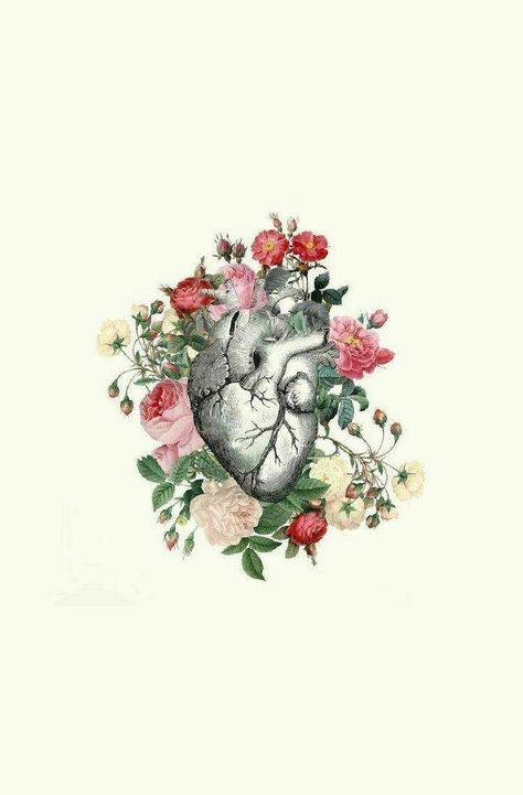 Anatomical Heart Art, Dandelion Wallpaper, Anatomical Heart Tattoo, Biology Art, Medical Art, Flower Phone Wallpaper, Heart Wallpaper, Anatomy Art, Heart Art