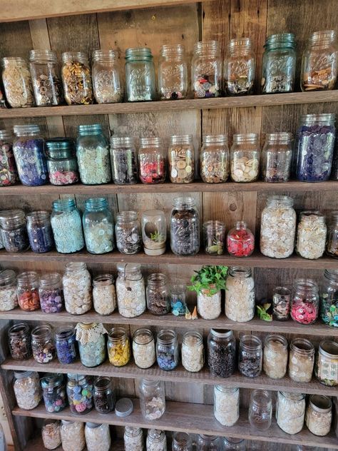 So many buttons so little idea what to do with them all. Been collecting and sorting for years. I love the barnwood shelf my husband built. Button Storage Ideas, Button Collection Display, Button Display Ideas, Barnwood Shelf, Button Storage, Display Collections, Barnwood Shelves, Collection Displays, Jar Display