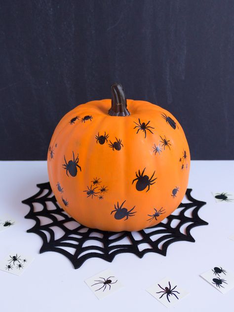 5 Super Cute Spider Pumpkin Ideas | Fun365 Painted Spider Pumpkin, Things To Paint On Pumpkins Easy, Pumpkin Painting Ideas Spider, Spider Pumpkin Painting, Spiderweb Pumpkin, Butterfly Pumpkin, Pumpkin Paintings, Paint Pumpkins, Creative Pumpkin Painting