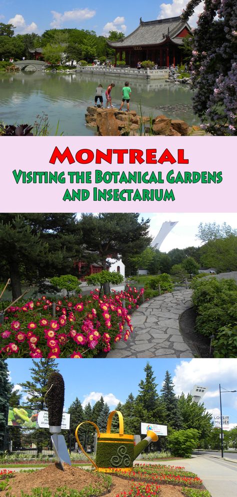 Montreal – Visiting the Botanical Gardens and Insectarium  #Montreal #Canada Visit Montreal, Montreal Botanical Garden, Canada Montreal, Montreal Travel, Long Term Travel, Full Time Travel, Chinese Garden, Of Montreal, Slow Travel