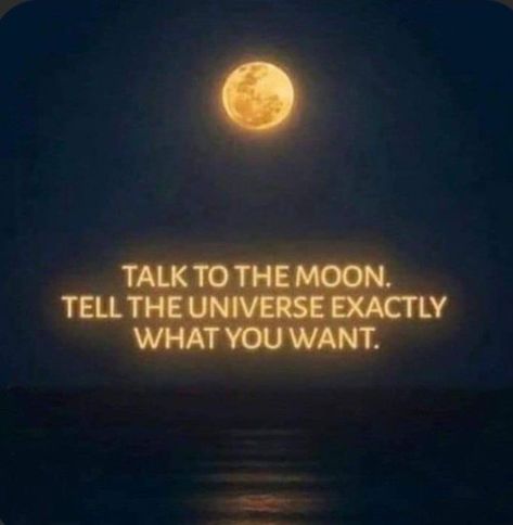 Ceyda Core, Quotes About The Moon, Free Spirit Quotes, Spirit Quotes, Divine Timing, Self Concept, Witty Quotes, Manifestation Board, Spiritual Guides