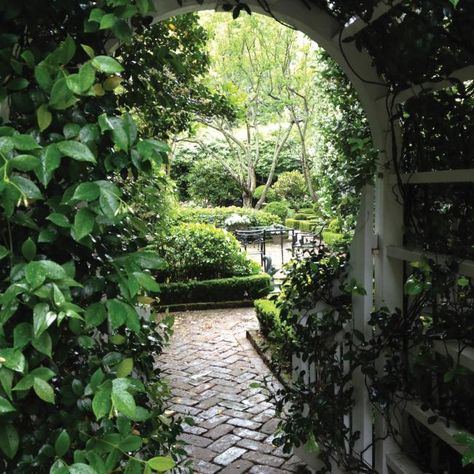 Brick Courtyard, Wood Walkway, Front Yards Curb Appeal, Brick Pathway, Brick Walkway, Building A Pergola, Storage Inspiration, Small Courtyards, Cottage Style Homes