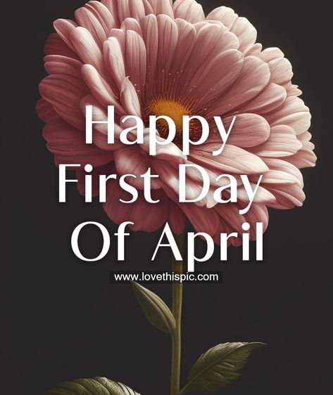 First Day Of April Quotes, 1st April Quotes, April Pictures Month, Happy New Month April Quotes, April First Quotes, Happy April 1st Quotes, Happy April Quotes, April 1st Quotes, Happy New Month Of April