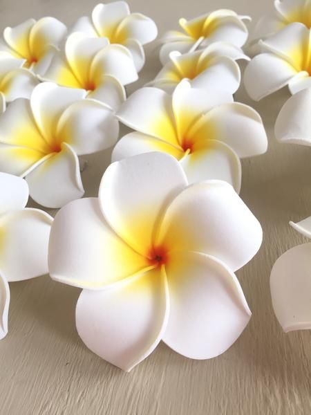 Frangipani / Plumeria Flower Hair Clip – Pinknique LLC Useful Packaging, Plumeria Tattoo, Hawaii Flowers, Hawaiian Plumeria, Polymer Clay Flower Jewelry, Flowers Pretty, Paper Quilling Patterns, Plumeria Flowers, Pinterest Diy Crafts