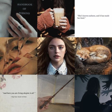 Hope Mikaelson Moodboard, American Horror Story Coven, Hayley Marshall, Feed Insta, Hope Mikaelson, Coven, American Horror Story, Teen Wolf, Vampire Diaries